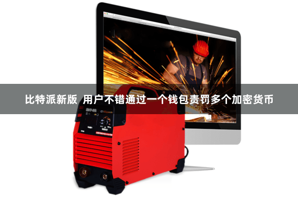 比特派新版 用户不错通过一个钱包责罚多个加密货币