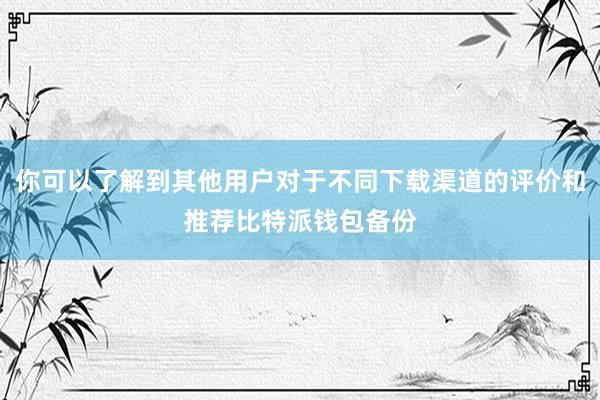 你可以了解到其他用户对于不同下载渠道的评价和推荐比特派钱包备份