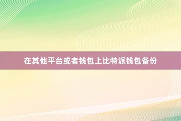 在其他平台或者钱包上比特派钱包备份