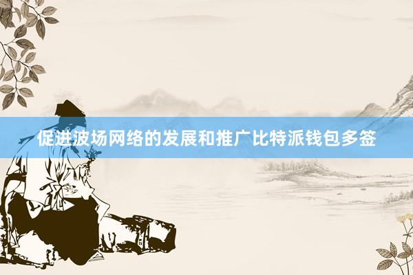 促进波场网络的发展和推广比特派钱包多签