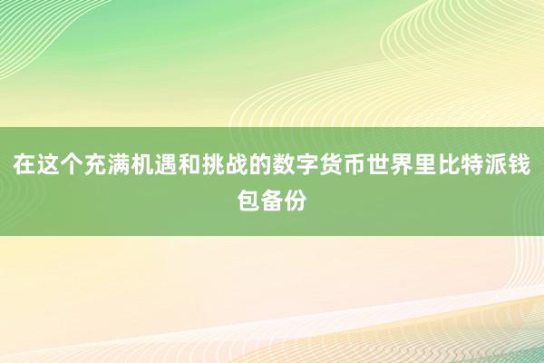 在这个充满机遇和挑战的数字货币世界里比特派钱包备份