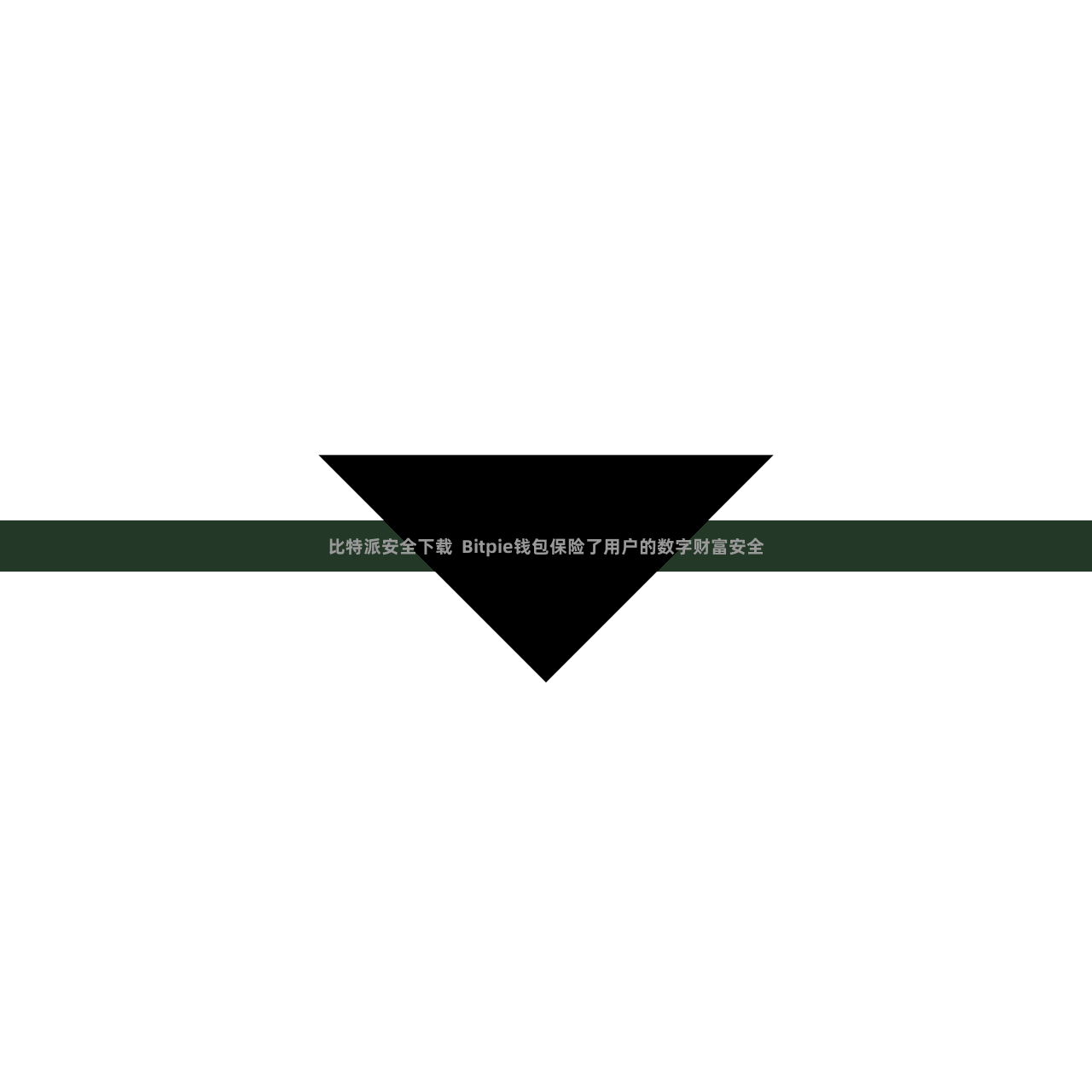 比特派安全下载  Bitpie钱包保险了用户的数字财富安全
